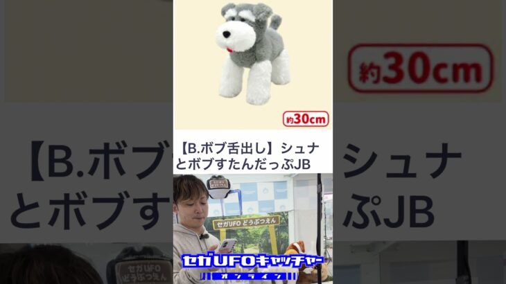 気ままにUFOキャッチャー4　どうぶつえんに行ってみた【セガUFOキャッチャーオンライン】#shorts