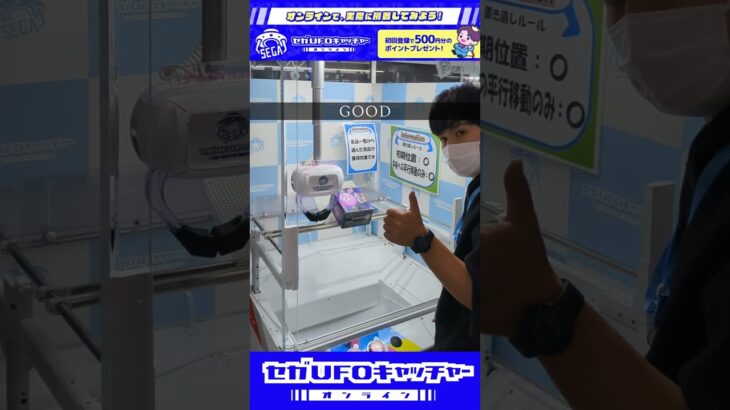 ㊙作業風景公開シリーズ【海物語クジラッキーシリコンルームライト】【セガUFOキャッチャーオンライン】#shorts