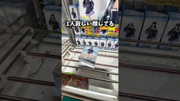 クレーンゲーム!!cranegame!!  #ゲームセンター #ゲーセン #ufoキャッチャー #クレーンゲーム攻略 #プライズ獲得 #summerpockets