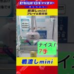 橋渡しminiプレイ＆獲得集【セガUFOキャッチャーオンライン】#shorts