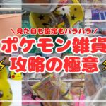 【保存版】ポケモン雑貨⚡️攻略の極意〜種類別に取り方のコツを解説！　#ポケモン#pokemon #ポケットモンスター #クレーンゲーム#ぬいぐるみ