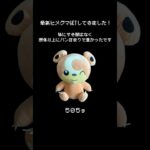【！速報！】最新ヒメグマ大の情報！！　#ポケモン#pokemon #ポケットモンスター #クレーンゲーム#ぬいぐるみ