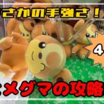 【油断禁物】ヒメグマ大の攻略法！ #ポケモン#pokemon #ポケットモンスター #クレーンゲーム#ぬいぐるみ