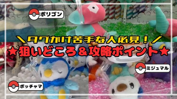 【タグ不要テク】ポリゴン・ミジュマル・ポッチャマの攻略法５選！！　　#ポケモン#pokemon #ポケットモンスター #クレーンゲーム#ぬいぐるみ