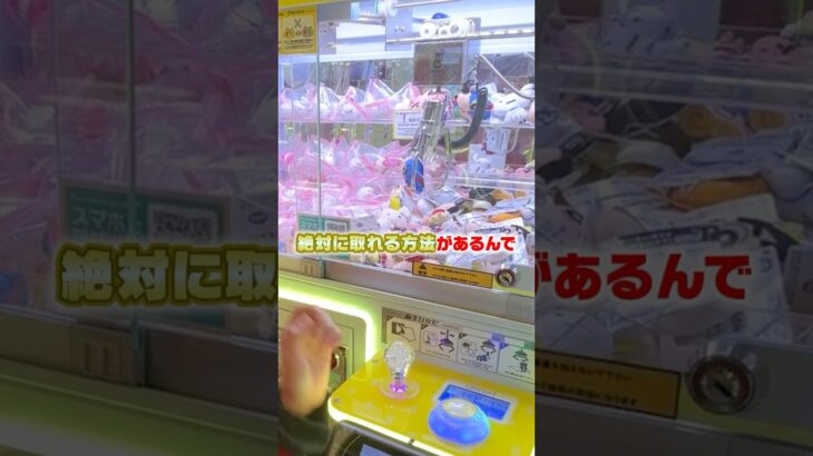 最新のミニクレーンゲームには裏技がある！#shorts #たこくん #対決