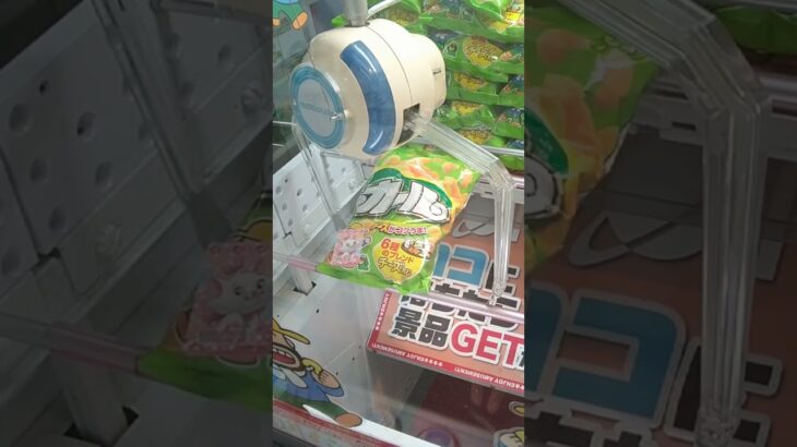 ドラマ瑞穂店のクレーンゲームでカールの景品を乱獲ゲット #shorts