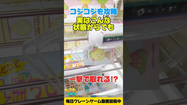 【クレーンゲーム】実はこんな状態でも一撃で取れる！？立方体に近い形状のコジコジを攻略！#shorts