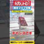 【クレーンゲーム】実は箱を横に立てるとチャンス！ラウンドワン限定チェンソーマンのマキマを攻略！#shorts