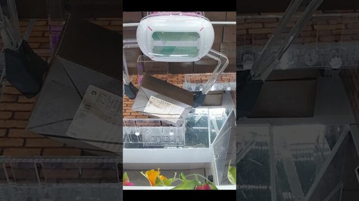 ドラマ瑞穂店のクレーンゲームでうにの煎餅と堂島ドーナツの景品をゲット #shorts