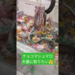 チョコマシュマロ取って食べるぞ😍 #クレーンゲーム #クレーンゲーム景品 #クレーンゲーム攻略 #ゲームセンター #ufoキャッチャー #チョコマシュマロ