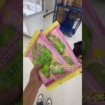 登録するといいことあります！☺️#クレーンゲーム #ゲームセンター #ufoキャッチャー #攻略 #オープン #助ける