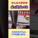 みんな大好き　よっちゃんイカの簡単攻略法‼️ #クレーンゲーム #ゲームセンター #橋渡し #ufoキャッチャー #お菓子