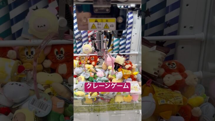 クレーンゲームに挑戦！　#クレーンゲーム #北海道 #拡散 #札幌市 #ゲーセン #ufoキャッチャー #景品