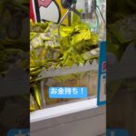 お金持ち！　#クレーンゲーム #拡散 #北海道 #札幌市 #ゲーセン #ufoキャッチャー #景品 #お金  #お金持ち
