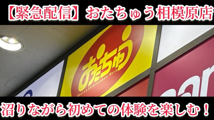 【クレーンゲーム】慣れない設定に苦戦したけど新たな発見も💡 #クレーンゲーム #クレゲ #ufoキャッチャー #ゲームセンター #ゲーセン #橋渡し