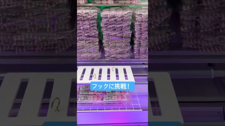 フックに挑戦！ #クレーンゲーム #拡散 #北海道 #札幌市 #ゲーセン #ufoキャッチャー #景品 #フック