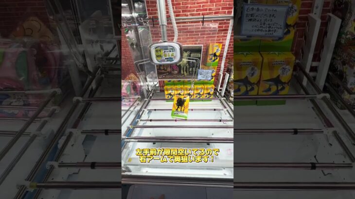 今世界で人気なブレインロットクレーンゲームにあったのでやってみた！ #クレーンゲーム #ゲームセンター #ufoキャッチャー #攻略 #プライズ #ブレインロット #橋渡し設定