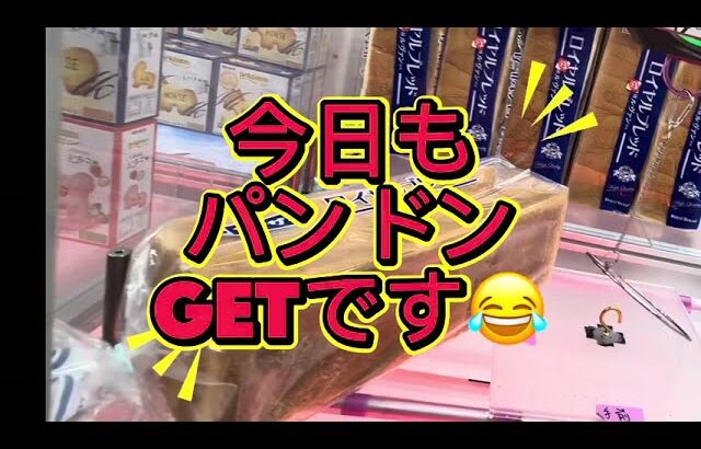 【クレーンゲーム】フック設定ヤマザキパンを取りにきた‼️ #おたちゅう #龍ヶ崎 #クレーンゲーム #ufoキャッチャー #攻略#フック#フィギュア#雑貨#食品#日用品#橋渡し