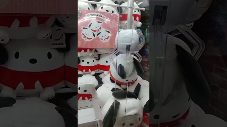 ぽちゃこ取れるかな😆 #クレーンゲーム景品 #クレーンゲーム攻略 #クレーンゲーム #ゲームセンター #ufoキャッチャー #ゲーセン #ミニクレーンゲーム