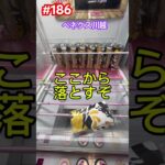 隙間があったら落としちゃおう‼︎ #クレーンゲーム #ufoキャッチャー #ゲーセン #阪神タイガース #ベネクス