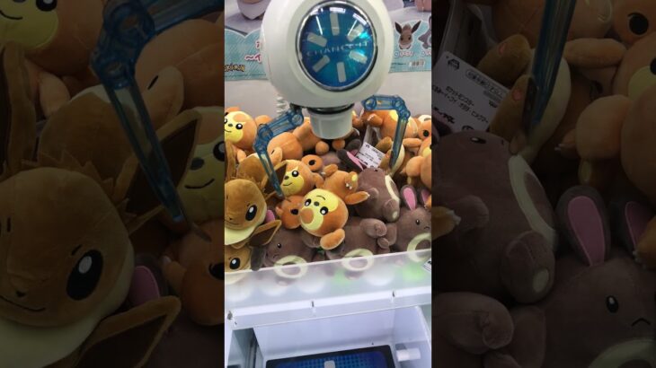 クレーンゲーム　#クレーンゲーム #クレーンゲーム攻略 #ufoキャッチャー #100円娯楽 #伊東市 #伊東温泉 #short #shorts #ufoキャッチャー #10short #shorts