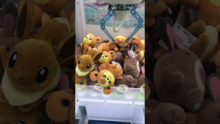 クレーンゲーム　#クレーンゲーム #クレーンゲーム攻略 #ufoキャッチャー #100円娯楽 #伊東市 #伊東温泉 #short #shorts #ufoキャッチャー #10short #shorts