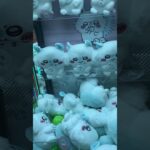 クレーンゲーム　#クレーンゲーム #クレーンゲーム攻略 #ufoキャッチャー #100円娯楽 #伊東市 #伊東温泉 #short #shorts #ufoキャッチャー #10short #shorts