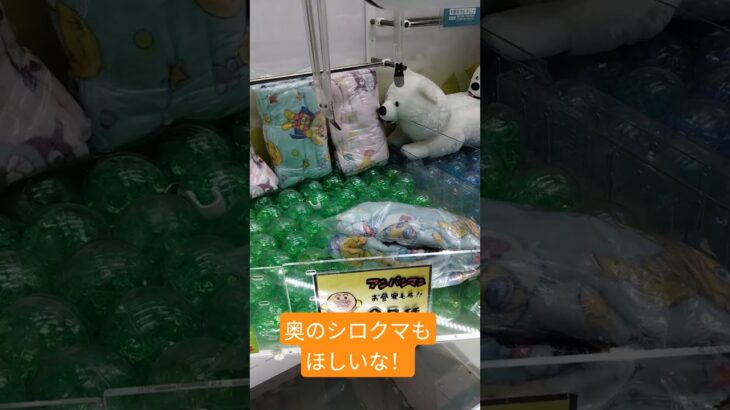 シロクマもほしくなってきた☺️ #ゲームセンター #クレーンゲーム景品 #クレーンゲーム #クレーンゲーム攻略 #ゲーセン #ufoキャッチャー