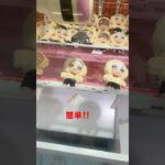 簡単設定‼️#クレーンゲーム #クレーンゲーム景品 #クレゲ #プライズ獲得 #ゲームセンター #ゲーセン #アミューズメント限定 #ufoキャッチャー