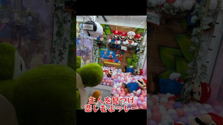 希少クレゲ台⑤ #クレーンゲーム #プライズ獲得 #ufoキャッチャー #ゲーセン #anime