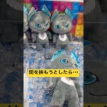 間を挟もうとしたら・・・　#クレーンゲーム #北海道 #拡散 #札幌市 #ufoキャッチャー #ゲーセン #get #景品 #ぬいぐるみ