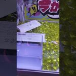 重そうだけど持ち上がるか？😆#ゲームセンター #クレーンゲーム景品 #クレーンゲーム #クレーンゲーム攻略 #ufoキャッチャー #refa