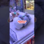 #クレーンゲーム #ufoキャッチャー #ぬいぐるみ #攻略 #取り方 #景品 #shorts