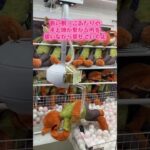 #クレーンゲーム #プライズ獲得 #クレゲ #ゲームセンター #ufoキャッチャー攻略 #ufoキャッチャー #DISNEY#disney#ズートピア#ぬいぐるみ