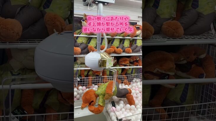 #クレーンゲーム #プライズ獲得 #クレゲ #ゲームセンター #ufoキャッチャー攻略 #ufoキャッチャー #DISNEY#disney#ズートピア#ぬいぐるみ