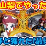 【クレーンゲーム】【倉庫系】#万代山梨 で新景品やったら？ﾊﾞｶほど獲れたが…最後にやってる設定が?  #ナルト #キッド  #リトルナイトメア #シックス #アローン #モノ #ロゥ #ギロロ伍長