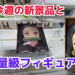 【クレーンゲーム】重量級フィギュア＋新景品に挑戦［橋渡し］