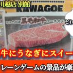 豪華食品が獲れる！万代書店川越店別館にあるクレーンゲームの景品の取るコツを紹介