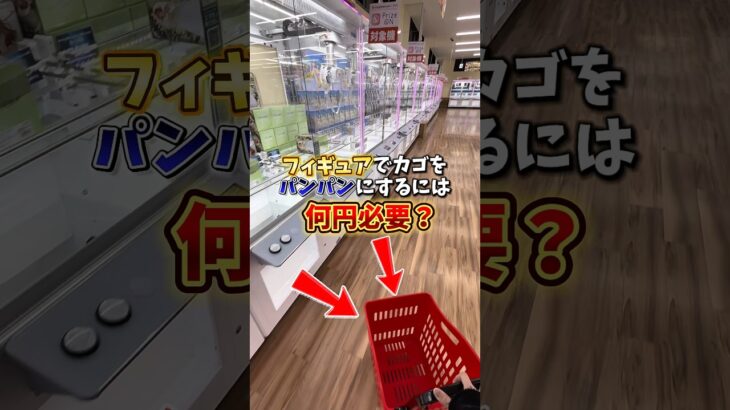 【ゲーセン】フィギュアでカゴをパンパンにするにはいくら必要か、群馬県で一番取れるゲームセンターで検証してみました。