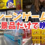 【クレーンゲーム】エブリデイ多摩ノ国でお酒のおつまみ探し！景品で飲む酒が一番うまい説【検証】※子供も安心して見れます