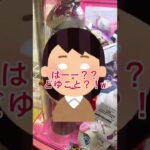 【激とれ設定】モルカーが欲しくて本気でクレーンゲームをやってみた結果（この動画はフィクションです。）