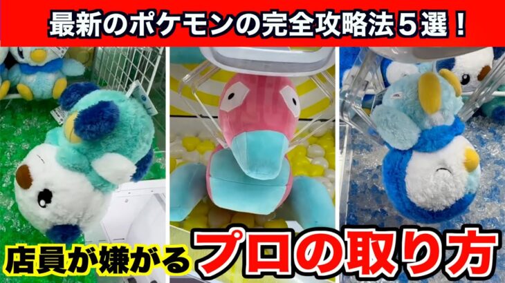 【クレーンゲーム】ポケモンの新作ぬいぐるみを出禁覚悟の裏技を使って攻略５選！