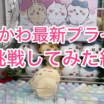 【ちいかわ】しーぷわぬいぐるみのうさちゃんをお迎えしました♡