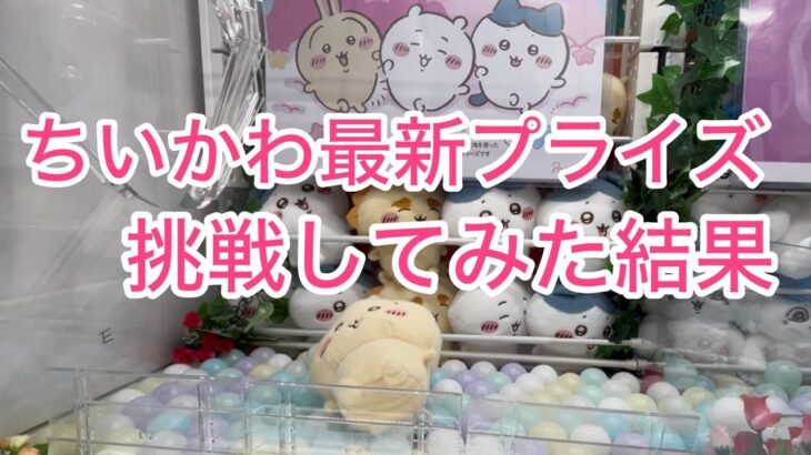 【ちいかわ】しーぷわぬいぐるみのうさちゃんをお迎えしました♡