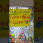 不思議な景品見つけたので取ってみよう❗️【クレーンゲーム】