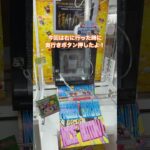 エビ好き必見のデカリング挑戦！【クレーンゲーム】