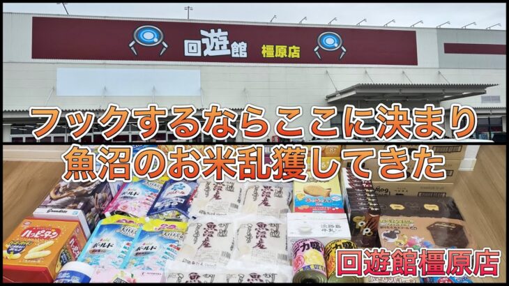 回遊館橿原店でお米乱獲した【ゲームセンター】