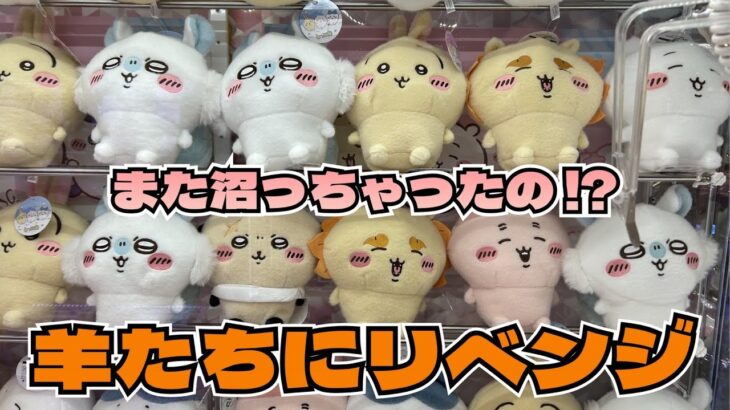 【クレーンゲーム】ちいかわ しーぷわぬいぐるみ②に初日チャレンジ！！