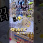 ちいかわ　取れるまでチャレンジした結果が沼りすぎた！！