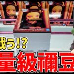 【クレーンゲーム】超重量級の禰豆子に悪戦苦闘!?最新景品を調査！